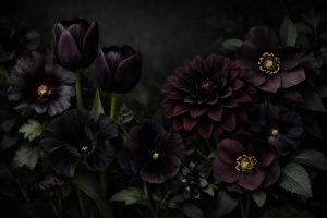 Black Flowers: 15 Dark Varieties for Garden Drama