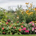 Annual vs Perennial: Cost, Bloom Time, and Lifespan