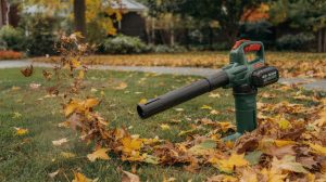 Best Cordless Leaf Blowers: Tested by Yard Size