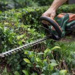Best Hedge Trimmers for 2026: Cordless Picks