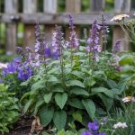 Deer Resistant Plants: Tested Varieties for Your Yard