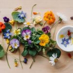 Edible Flowers: Best Varieties and Growing Tips