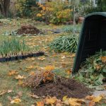 Fall Yard Cleanup: Tasks You Cannot Skip