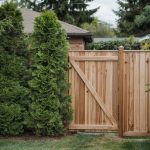 Fence vs Hedge for Privacy: Cost, Growth, and Upkeep