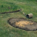 How to Fix a Patchy Lawn: Bare Spots in 4 Steps