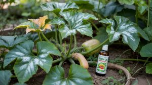 Powdery Mildew Treatment: ID, Prevention, and Fixes