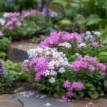 Ground Cover Plants That Actually Perform Well