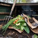 How to Compost at Home: Greens, Browns, and Troubleshooting