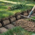 How to Dethatch a Lawn: When You Need It