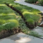 How to Edge a Lawn: Clean Lines Every Time