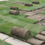 How to Lay Sod: Soil Prep, Stagger Pattern, and Watering
