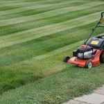 How to Mow a Lawn: Height, Pattern, and Frequency