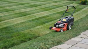 How to Mow a Lawn: Height, Pattern, and Frequency