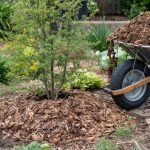 How to Mulch Garden Beds: 3-Inch Rule, Gaps, and Types