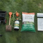 Lawn Care Schedule by Grass Type: Full Year Plan