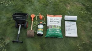 Lawn Care Schedule by Grass Type: Full Year Plan