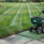 Lawn Care Cost: Mowing, Treatment, and Packages