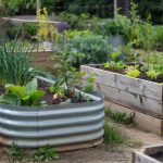 Metal vs Wood Raised Bed: Heat, Rust, and Longevity