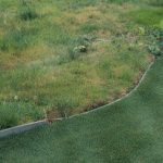 Natural vs Artificial Grass: Cost, Feel, and Upkeep