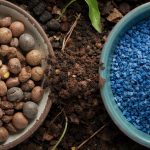 Organic vs Synthetic Fertilizer: Speed and Soil Health