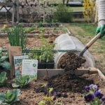 Spring Garden Prep: Soil, Seeds, and First Plantings