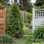 Privacy Fence Ideas: Wood, Vinyl, and Living Options