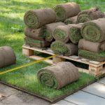 Sod Cost in 2026: Per Sq Ft and Pallet Pricing