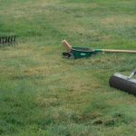 Spring Lawn Care Checklist: Zone-by-Zone Tasks