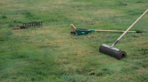 Spring Lawn Care Checklist: Zone-by-Zone Tasks