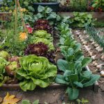 What to Plant in September: Cool-Season Round Two