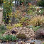 How to Winterize Your Garden: Zone-by-Zone Checklist